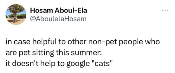 Relatable pet meme showing a tweet advising non-pet people that simply googling cats won't help them survive pet sitting.