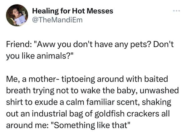 Mother's funny pet tweets comparing the chaos of owning animals to surviving a sleeping baby while covered in goldfish.