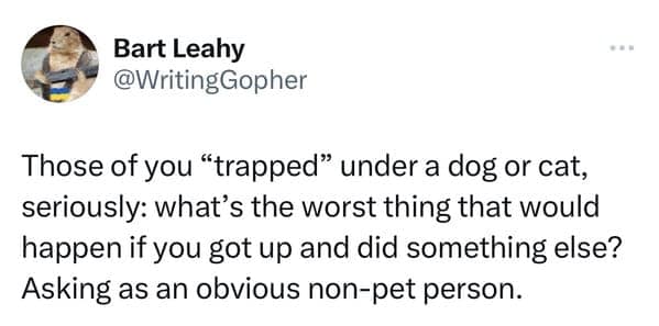 Funny pet meme where a confused non-animal person asks what the actual penalty is for moving when a cat or dog traps you.