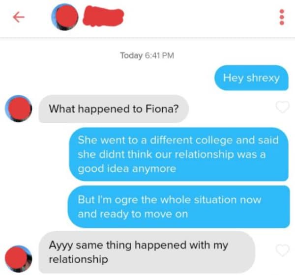 A hilarious dating meme showcasing a Tinder conversation filled with Shrek puns, starting with "Hey shrexy" and bonding over being "ogre" a past relationship.