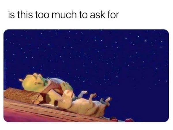 A wholesome relationship meme using Shrek and Donkey gazing at the stars to represent the simple, ideal date night that users are longing for.