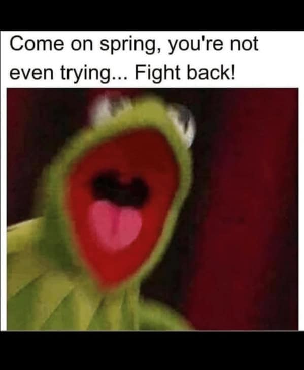 An aggressive waiting for spring memes entry featuring a blurry, screaming Kermit the Frog violently yelling "Come on spring, you're not even trying... Fight back!" against the lingering cold weather.