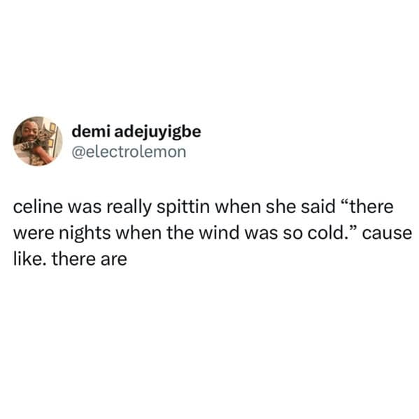 A hilarious spring meme tweet praising Celine Dion's lyrics, stating she was "really spittin" when she sang "there were nights when the wind was so cold," because the brutally cold seasonal weather is undeniably real.