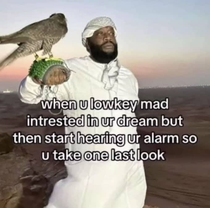 Rick Ross holding a falcon in the desert while trying to finish a good dream.
