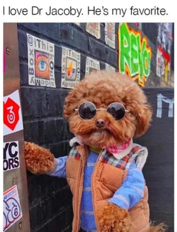 Poodle dog wearing round sunglasses and a puffy vest. Hilarious visual comparison to the eccentric psychiatrist Dr Jacoby.
