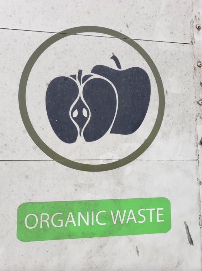 An unfortunate design on an "Organic Waste" bin featuring a stylized graphic of a vertically sliced apple next to a whole apple, inadvertently creating an accidentally nsfw visual.