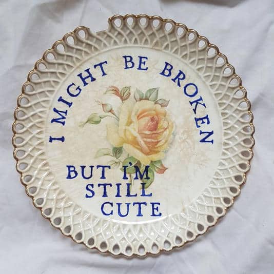 Chipped white latticed plate with a yellow rose and text stating I might be broken but cute.