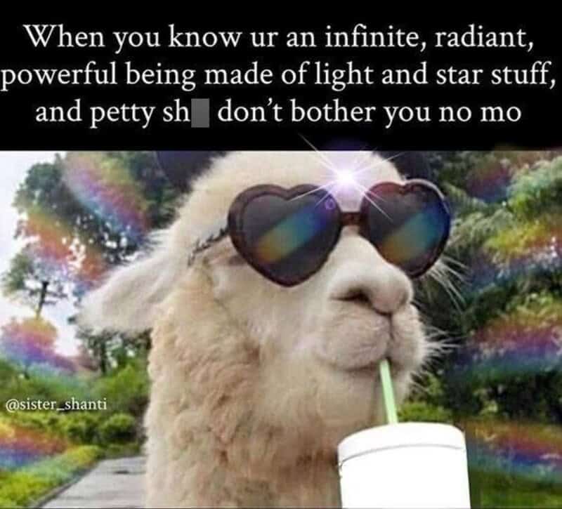Llama wearing heart-shaped sunglasses and drinking from a cup, illustrating a radiant, carefree mood.