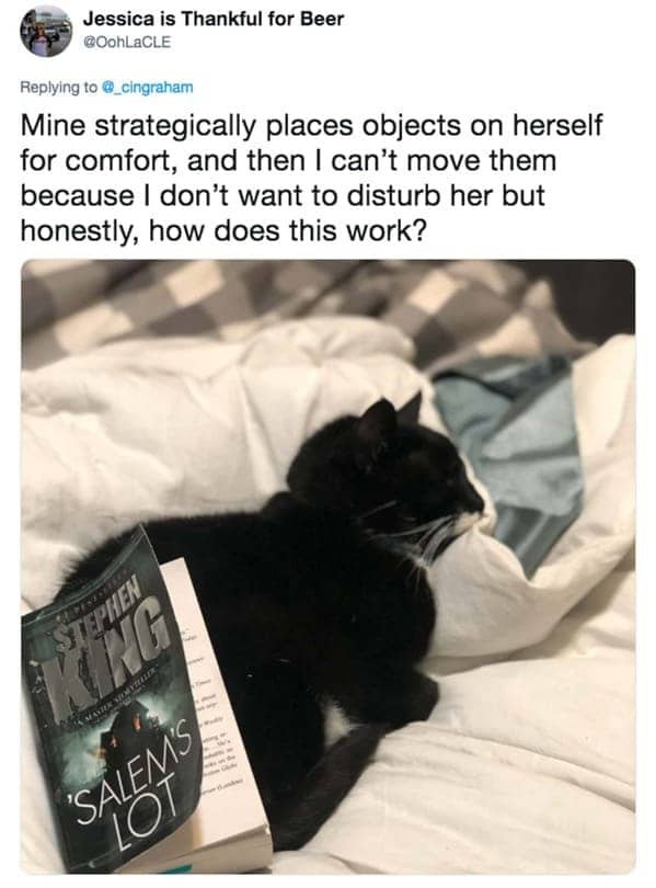 Jessica tweet about her black and white cat strategically placing a Stephen King book on itself.