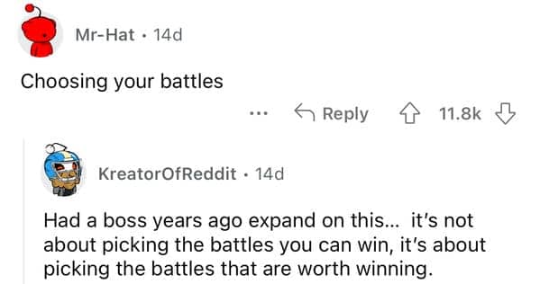 Advice about choosing battles that are worth winning rather than just those you can win.