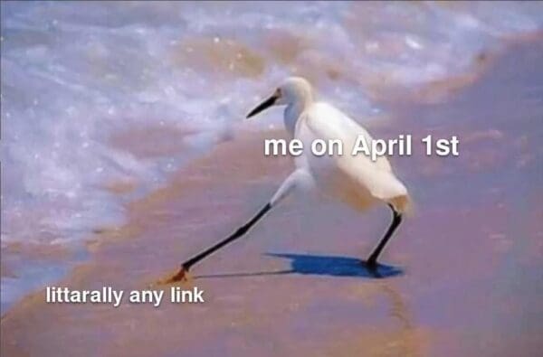 relatable April Fools Day meme depicting a white heron walking gingerly along a shoreline, stretching its leg out to test the sand. The bird is labeled "me on April 1st," and the ground where it is cautiously stepping is labeled "littarally any link."