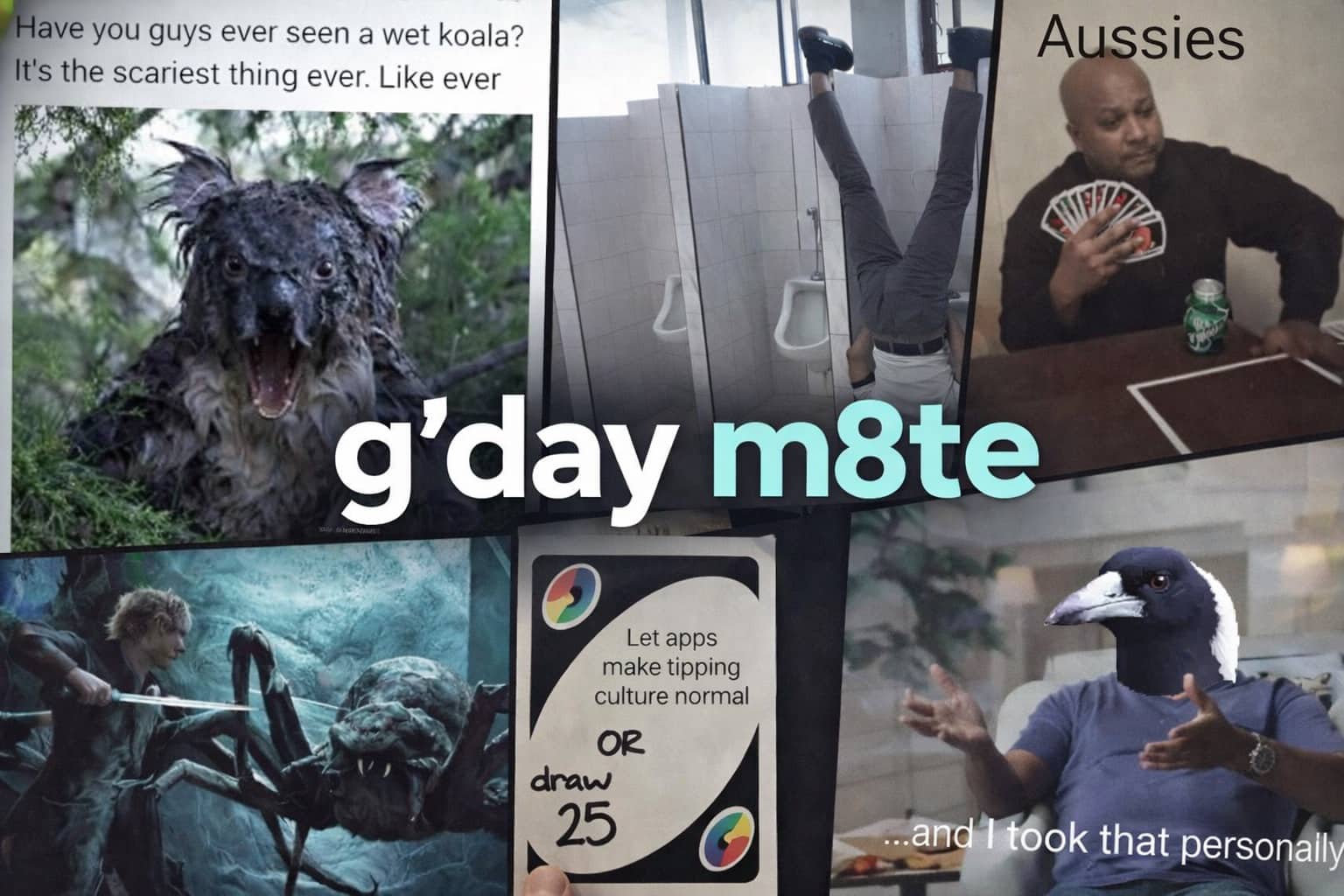 Funny Australian memes featuring a wet koala, giant spiders, and jokes about upside-down life in Australia.
