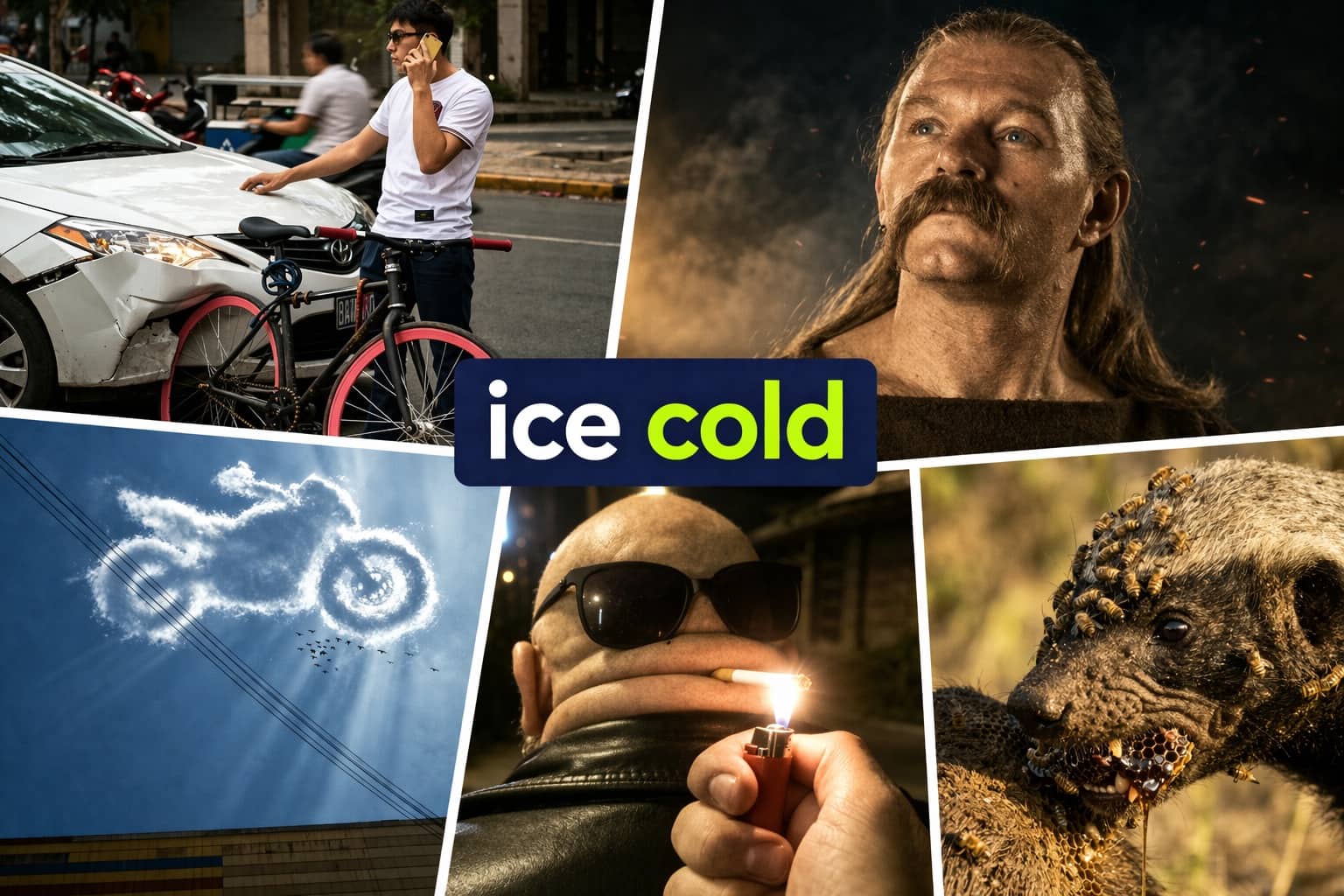 Compilation of pics that go hard featuring a honey badger covered in bees and motorcycle clouds.