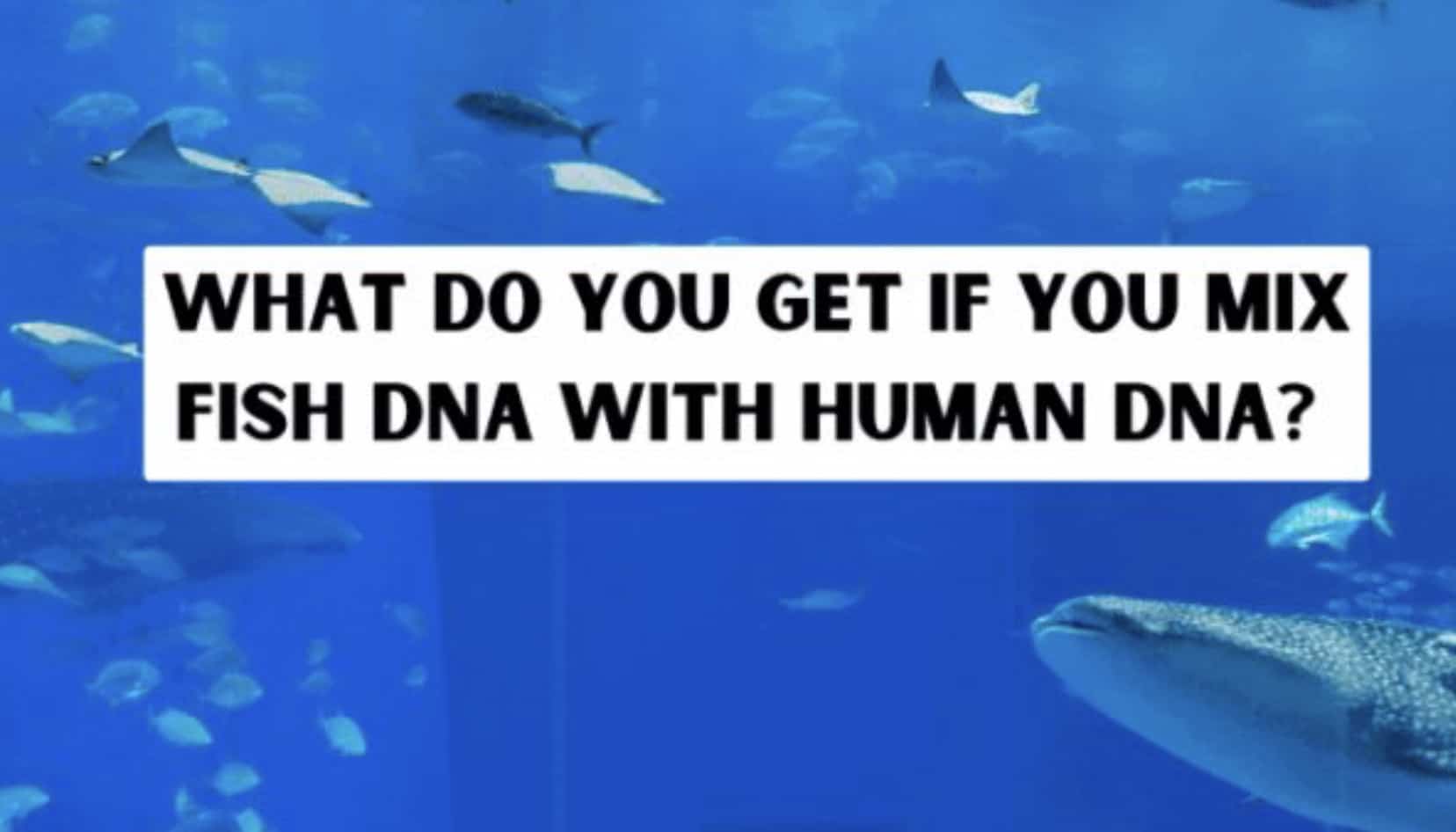 Underwater aquarium background with white text asking what you get mixing fish and human DNA.