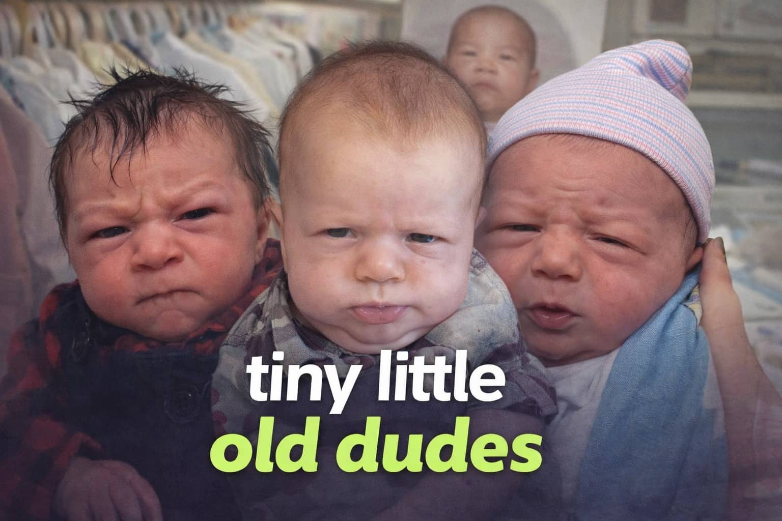 Three newborn babies with grumpy facial expressions and wrinkled foreheads labeled as tiny little old dudes.