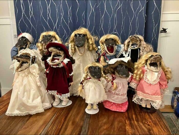 A terrifying diy fail featuring a collection of taxidermy alligator heads glued onto vintage porcelain doll bodies wearing frilly dresses.