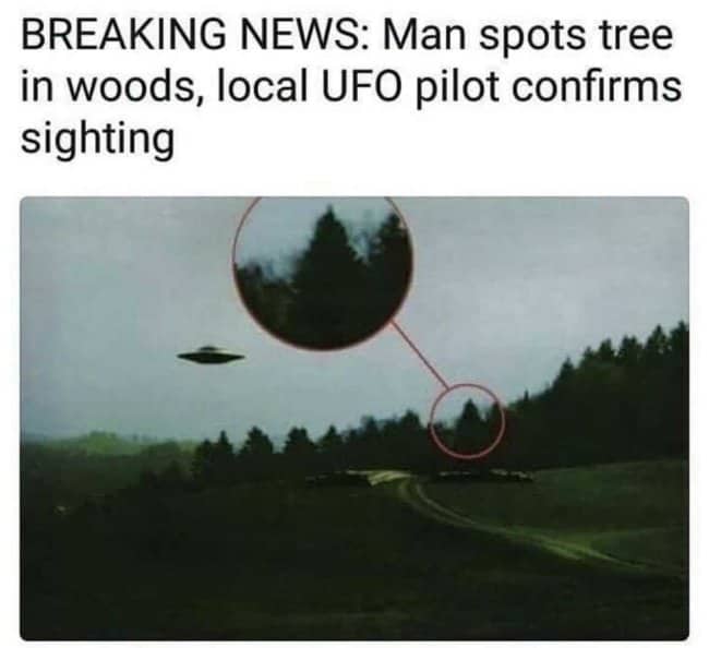 Satirical news headline about a UFO pilot confirming a tree sighting in the woods.