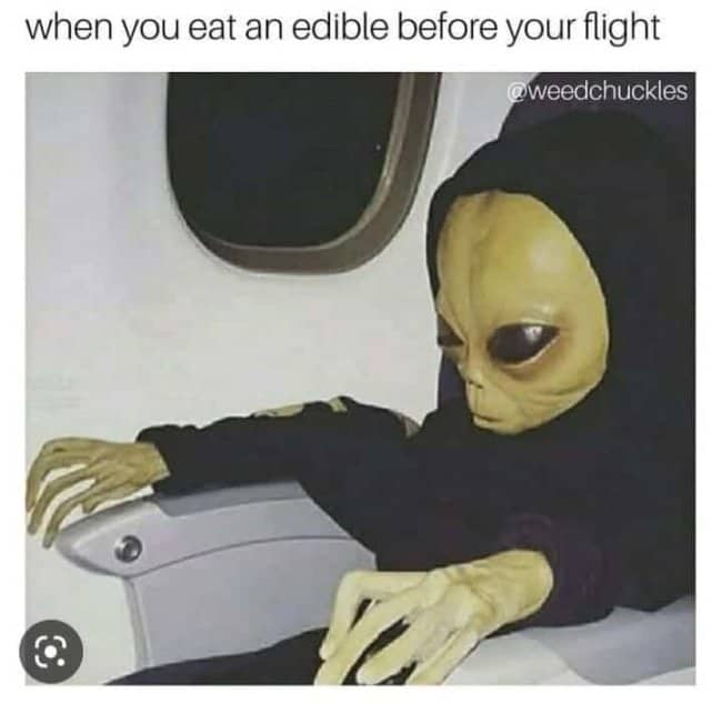 An alien figure sitting in an airplane seat wearing a black hoodie after eating edibles.