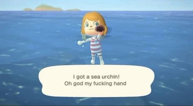 In-game screenshot of a player catching a sea urchin with an edited, painful text box.
