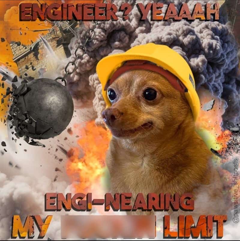 The explosive pressure of a high-stress workplace is perfectly captured in this chaotic funny animal picture of a chihuahua in a hard hat "engi-nearing" his limit