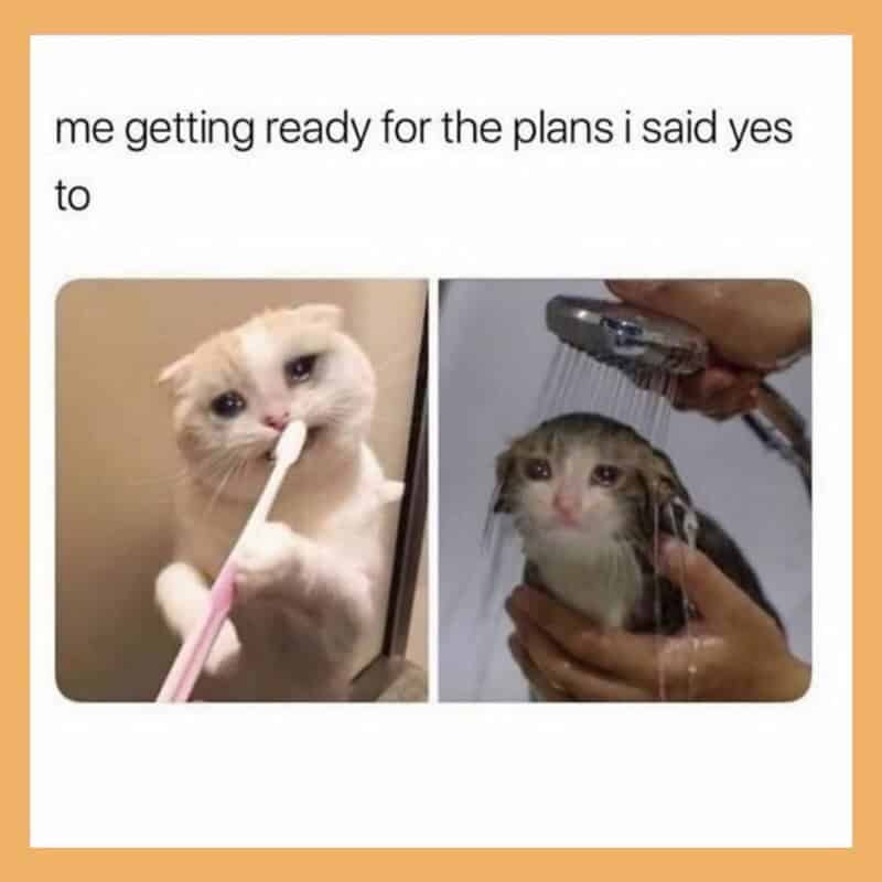 A two-panel relatable funny animal meme showing a teary-eyed cat miserably brushing its teeth and another crying under a shower head. The text reads: "me getting ready for the plans i said yes to."