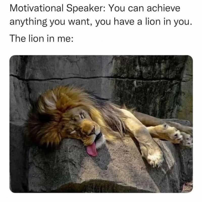 Anti-motivational energy is at an all-time high in this animal meme, showing a sleepy lion napping on a rock with its tongue sticking out to represent our actual "inner strength."