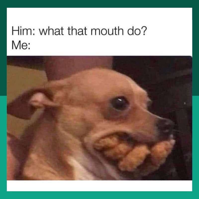 cursed and funny animal meme featuring a wide-eyed chihuahua with its mouth stuffed completely full of at least six chicken nuggets. The caption uses a popular social media prompt: "Him: what that mouth do? Me:".