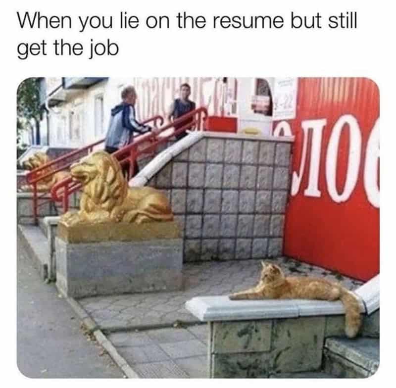 A confident ginger cat demonstrates how to "fake it 'til you make it" by posing perfectly as a golden lion statue in this career-centric funny animal picture.