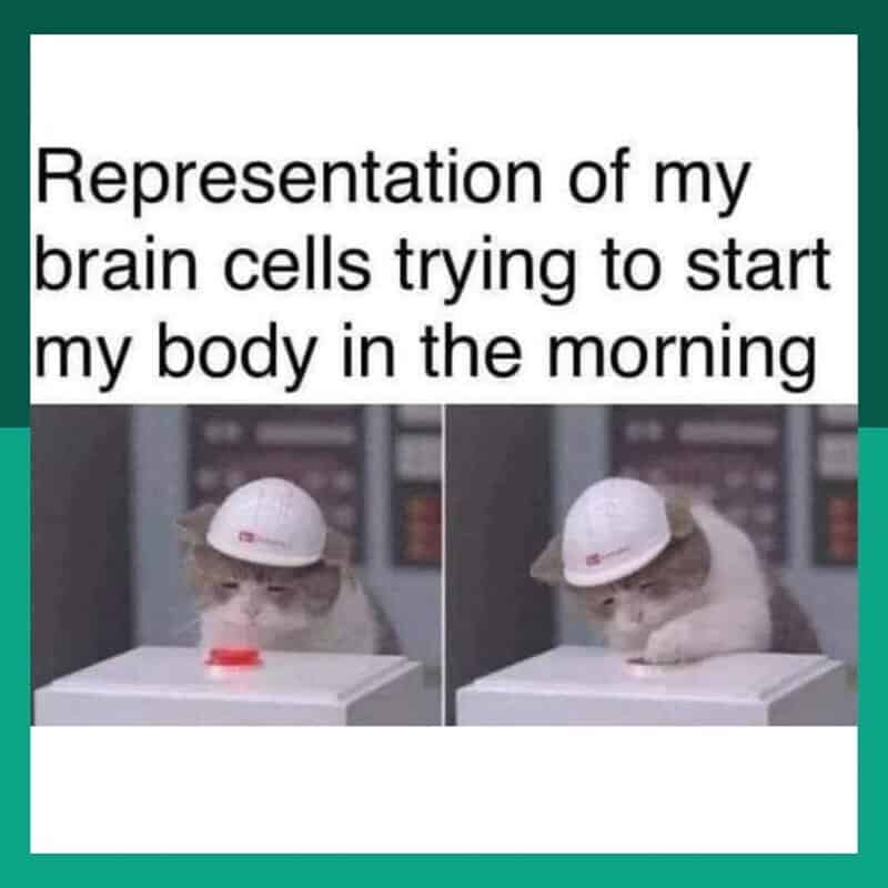 This funny animal meme depicts an exhausted-looking cat wearing a white construction hard hat and slowly pressing a large red button. The text calls it a "Representation of my brain cells trying to start my body in the morning."