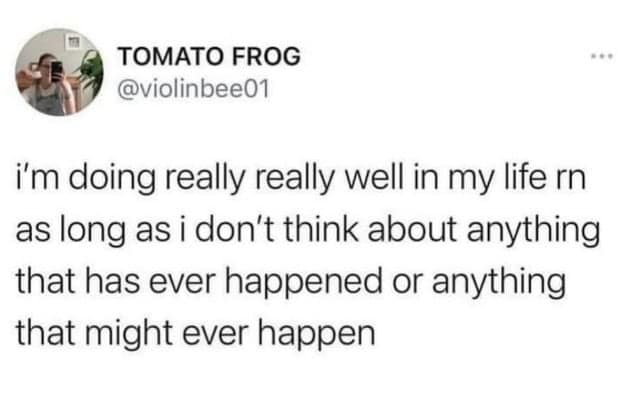 Funny anxiety tweets about doing perfectly fine in life as long as you completely avoid thinking about literally anything that has ever happened or could ever happen