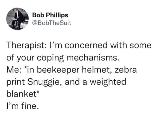 A hilarious anxiety meme where a stressed patient wearing a beekeeper helmet and a heavy weighted blanket tries to convince their therapist that their coping mechanisms are totally fine.