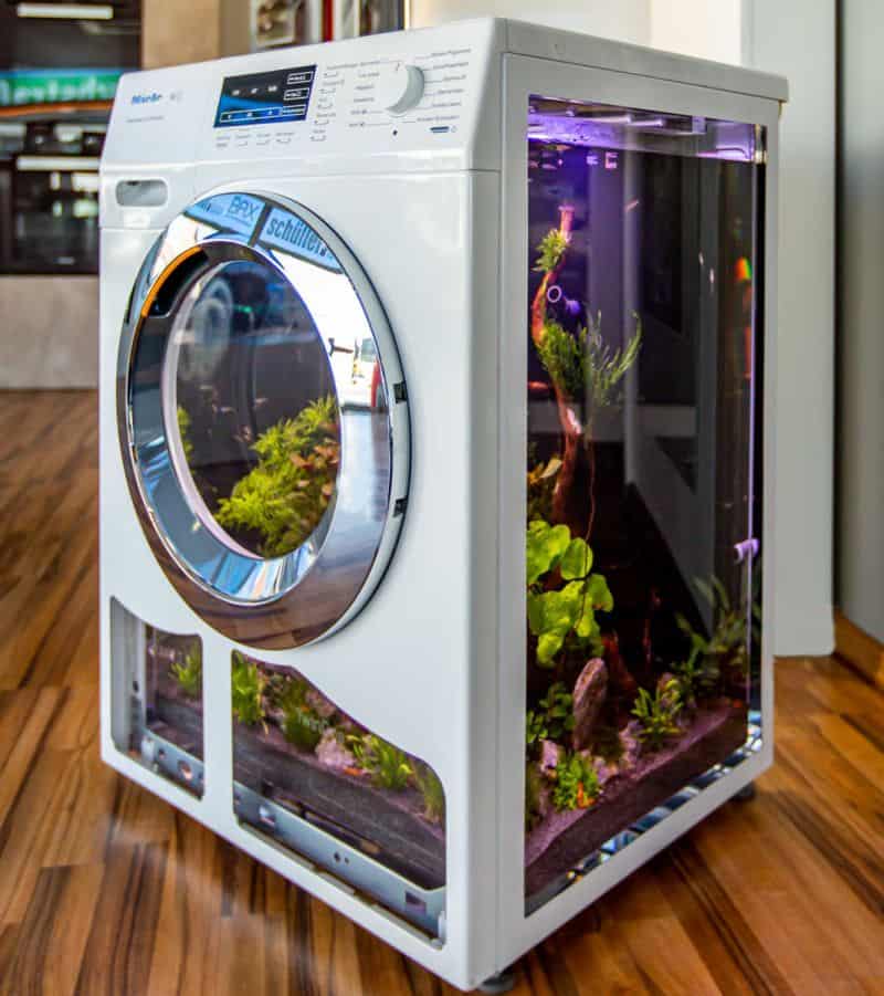 Creative fish tank built inside a white front-loading washing machine with live plants.