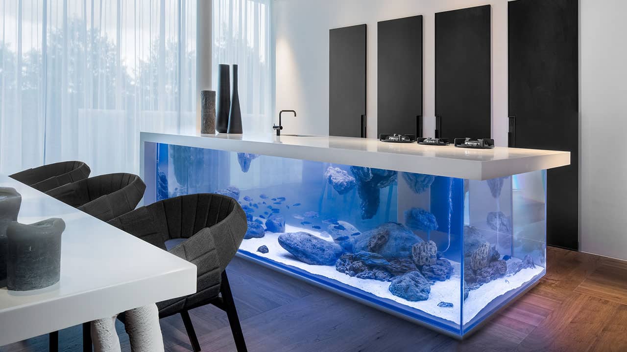 Modern kitchen island featuring a massive built-in saltwater aquarium as the base.