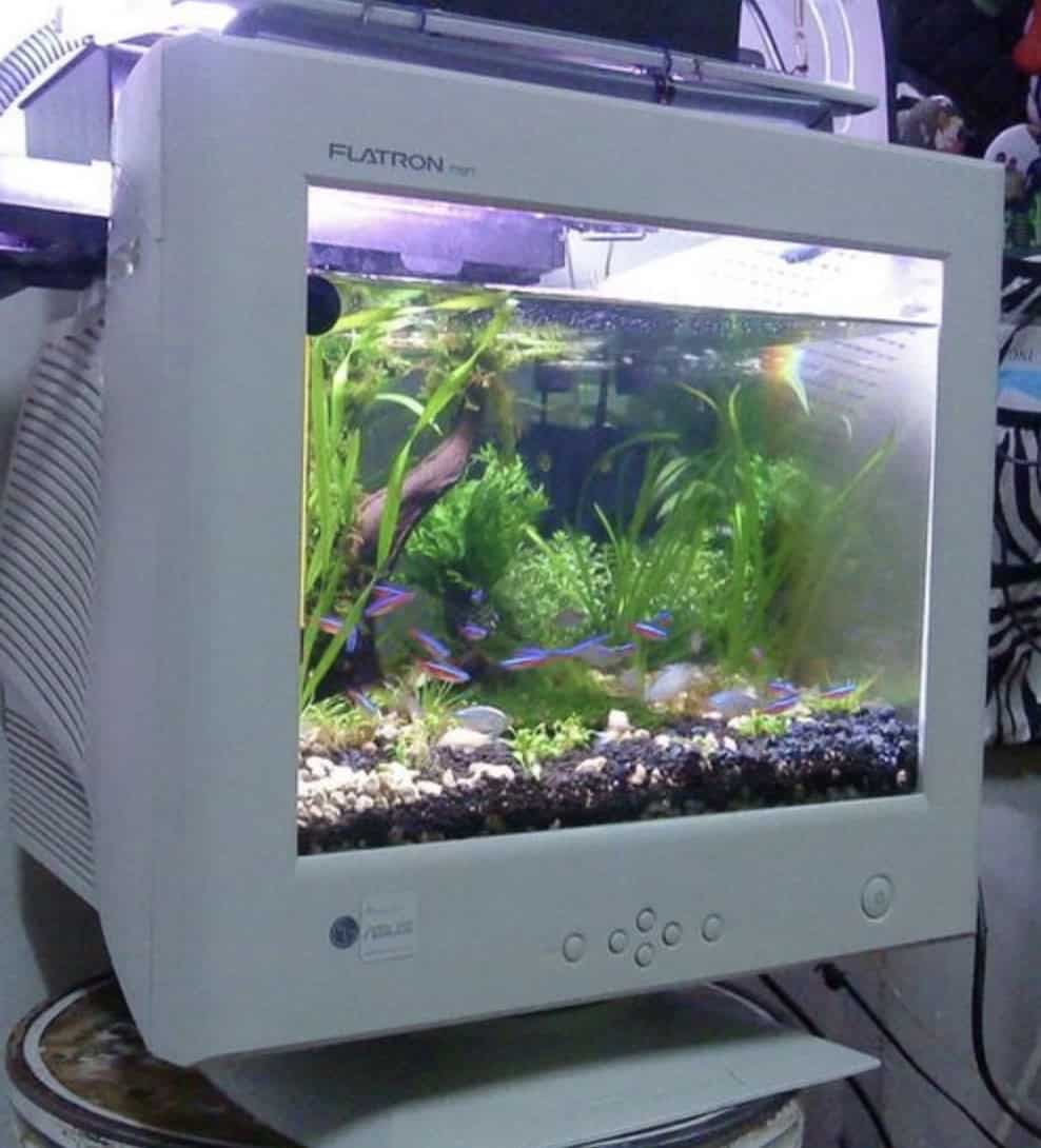 Retro-style aquarium custom built inside an old beige CRT computer monitor with neon fish.