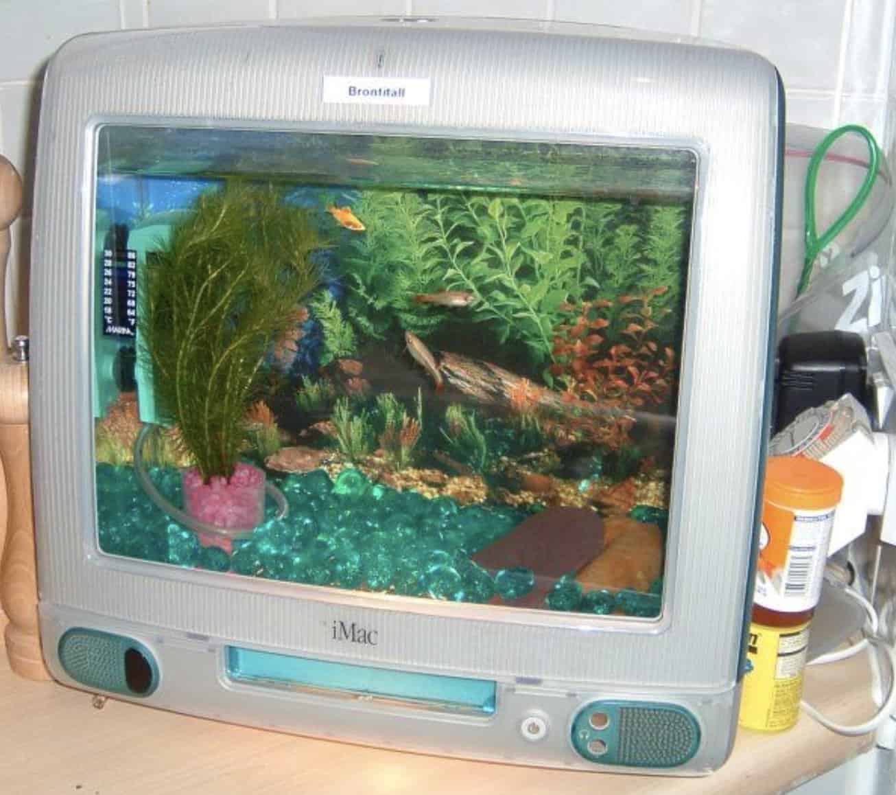 Upcycled silver iMac G3 computer converted into a desktop fish tank with green plants.