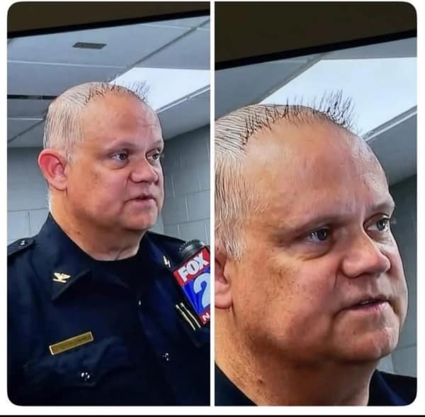 legendary bad haircut caught on a local news broadcast, featuring a balding police officer who has combed a few dozen single, sparse hairs so they stand completely straight up in the air across his scalp.