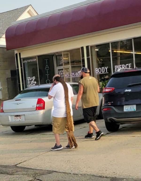 An extreme bad haircut captured on the street, showing a balding man walking with an impossibly long, massive dreadlock that drags along the concrete like a thick, heavy tree root.
