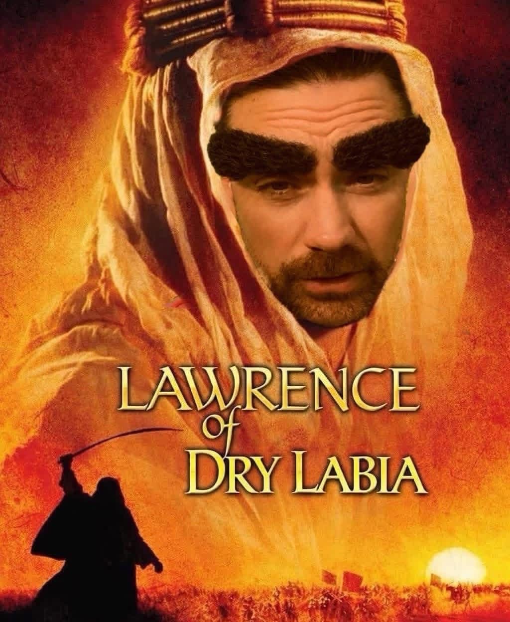 crude but hilarious Ben Shapiro eyebrows meme featuring a movie poster parody titled "Lawrence of Dry Labia," showing Ben Shapiro in desert garb with massive, blocky eyebrows and an edited-on beard.