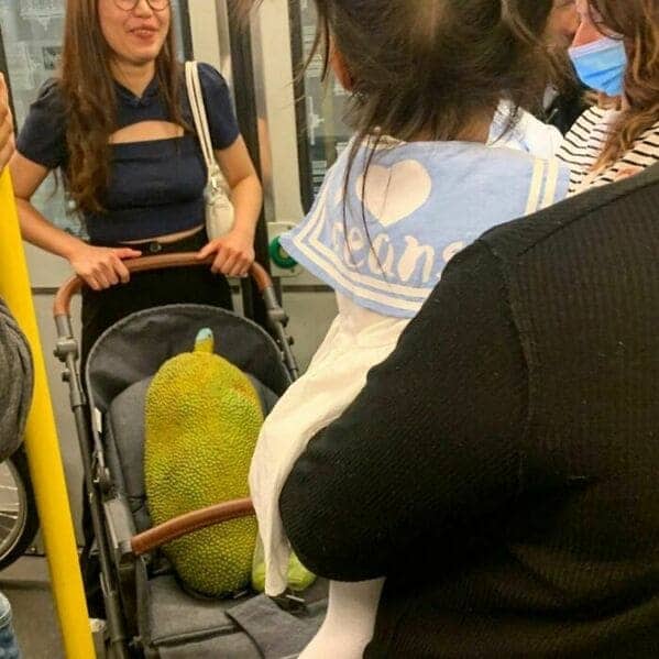 Woman pushing a baby stroller that contains a giant jackfruit instead of a child.