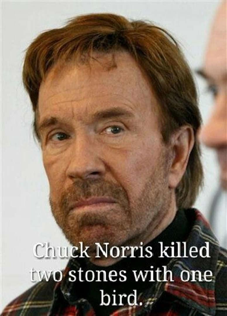 A serious close-up of the legend himself. The text subverts a well-known idiom, claiming that "Chuck Norris killed two stones with one bird."