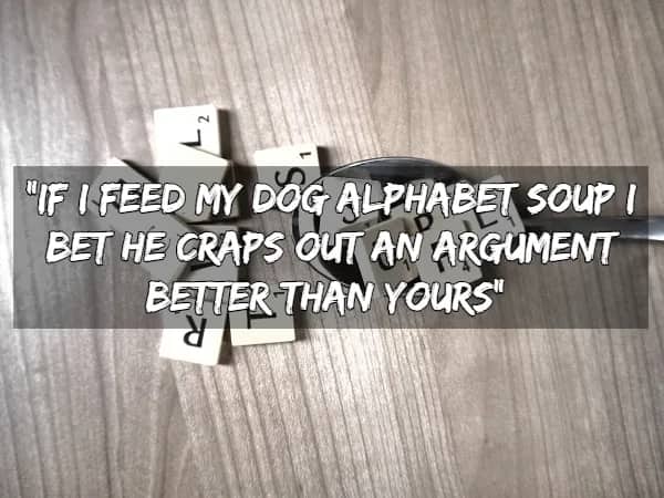 Scrabble tiles scattered on a table with a quote comparing an argument to dog alphabet soup.
