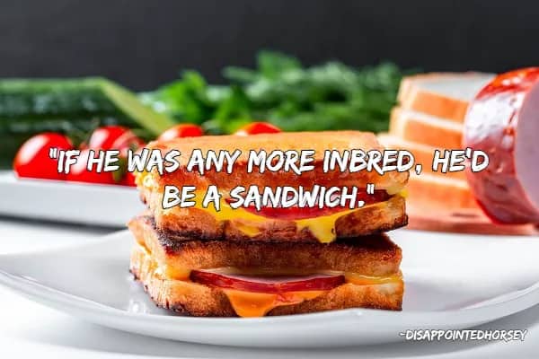 Close up of a toasted ham and cheese sandwich featuring a punny quote about being inbred.