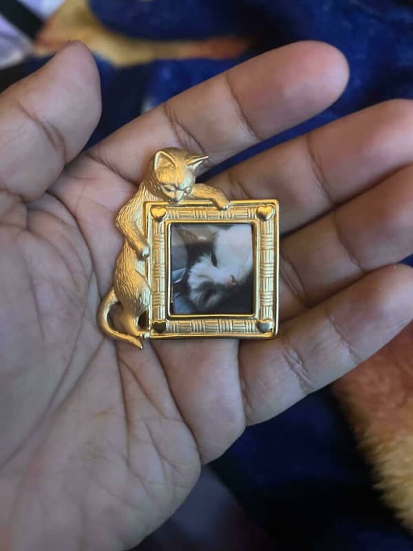 A gold brooch shaped like a cat peering over a tiny frame containing a cat photo.