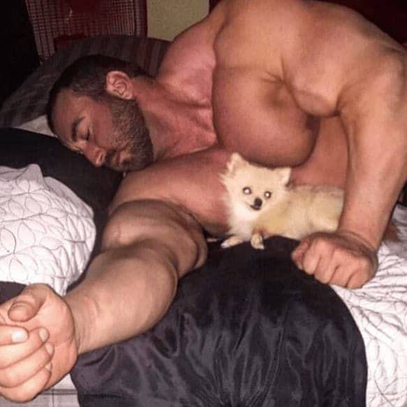 Heavily muscular bearded man napping in bed with tiny Pomeranian on chest