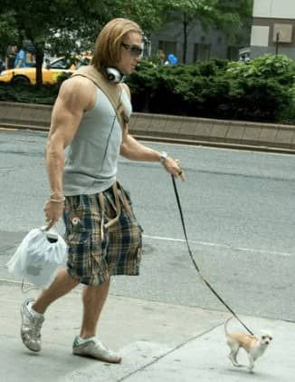 Jacked long-haired man walking teeny Chihuahua on leash down city sidewalk