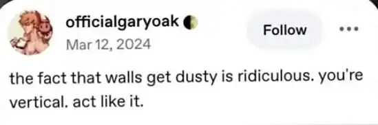 Social media post joke about how vertical walls shouldn't be able to collect falling dust.