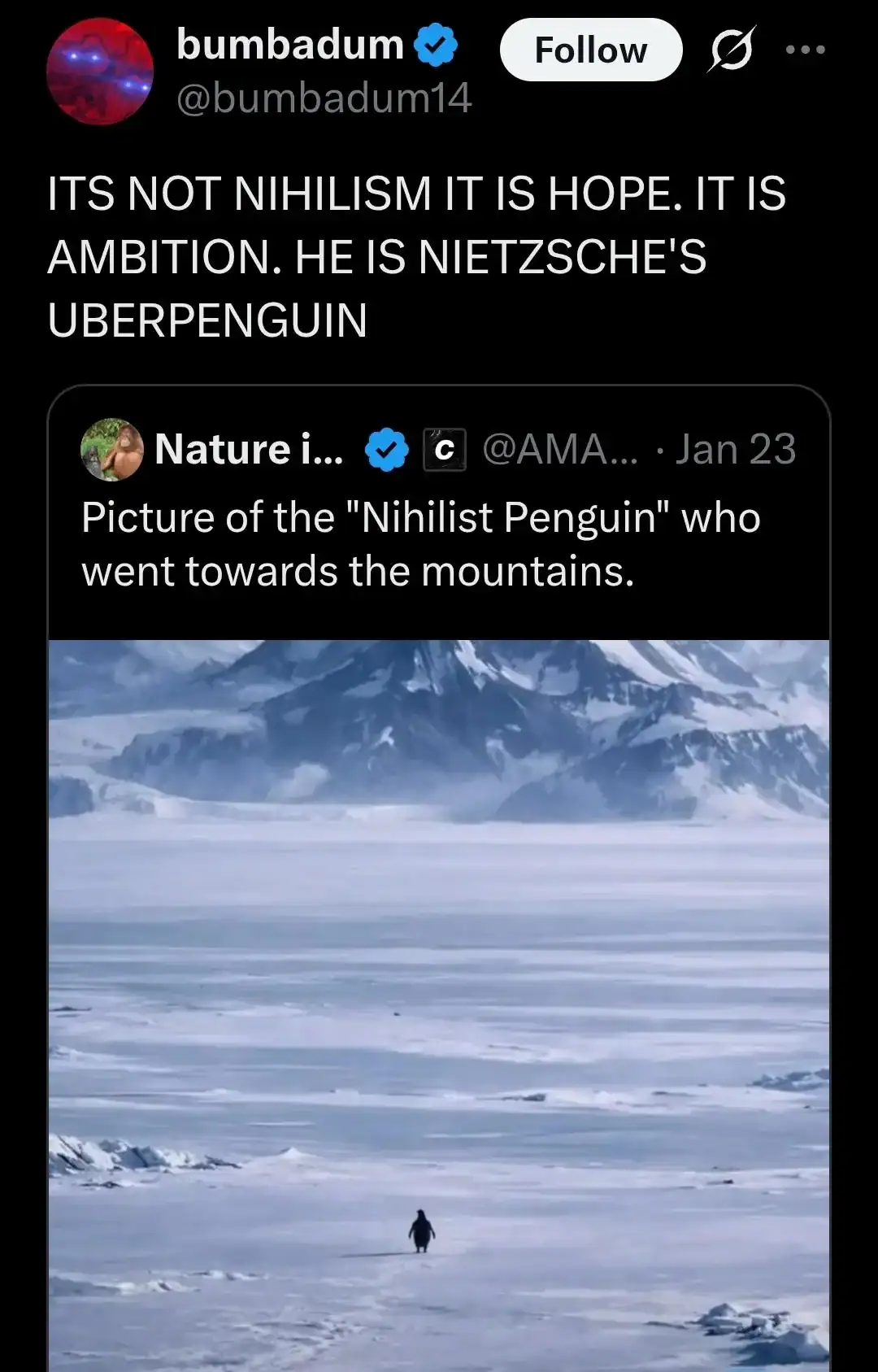 Lone penguin walking toward Antarctic mountains described as Nietzsche’s ambitious and hopeful Uberpenguin.