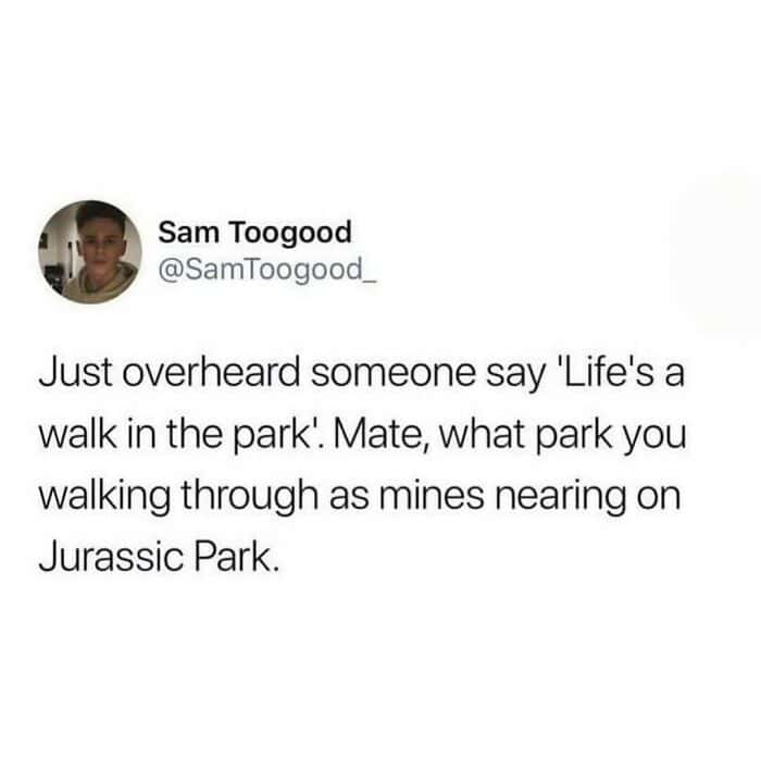 funny british tweet from Sam Toogood (@SamToogood_) mocking the phrase "Life's a walk in the park." He quips that while most people have a normal experience, his life is currently closer to a walk through "Jurassic Park."