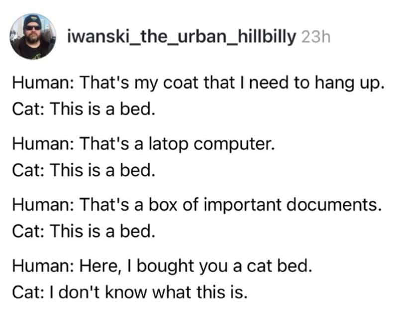 cat meme mocking the confusing logic of feline ownership. The post depicts a dialogue where a human identifies their coat, laptop, and documents, only for the cat to declare each one "a bed." When the human finally buys an actual cat bed, the cat simply responds, "I don't know what this is."