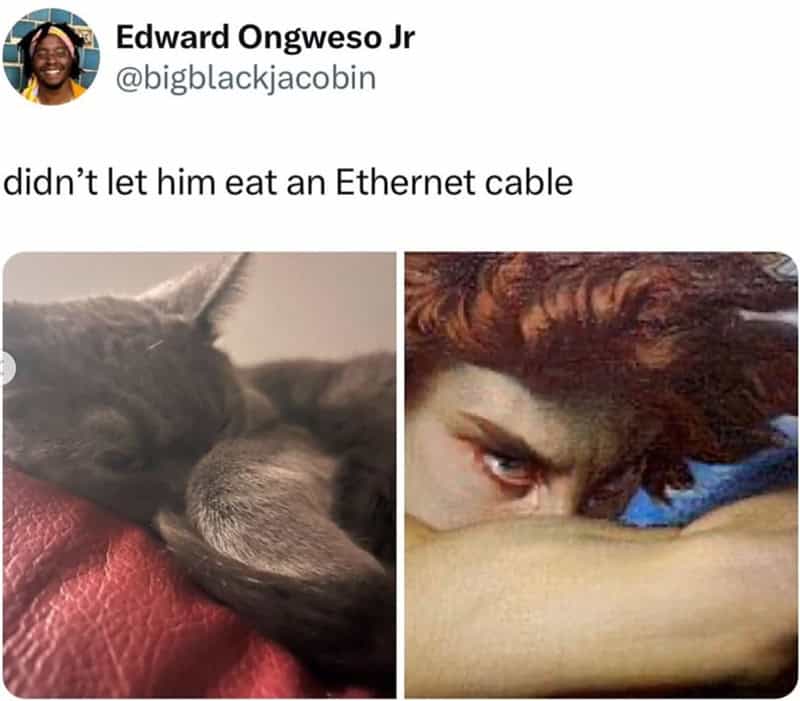 two-panel cat meme comparing a pouting grey kitten to the intense, tearful gaze of the "Fallen Angel" painting by Alexandre Cabanel. The reason for this epic, biblical level of heartbreak? "didn’t let him eat an Ethernet cable."